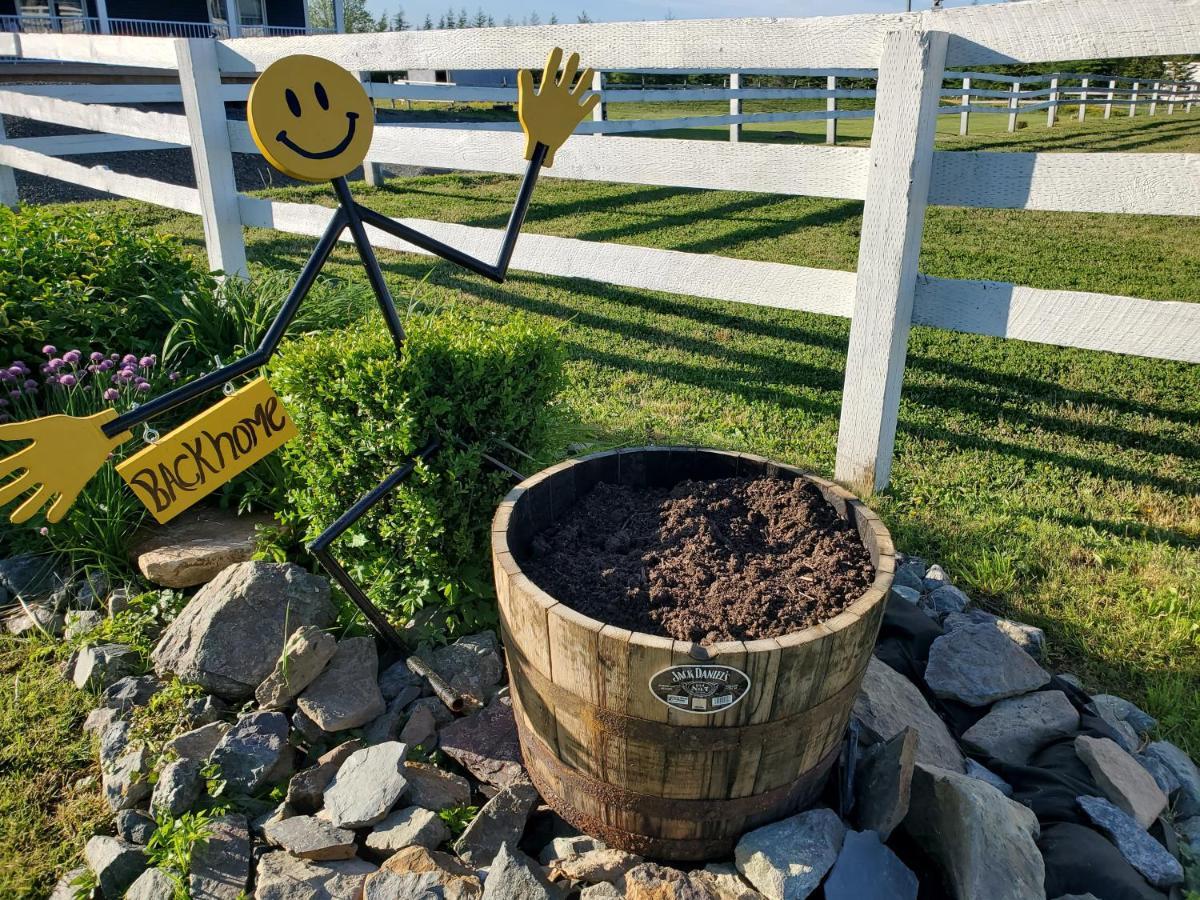 Back Home Bed And Breakfast Membertou Экстерьер фото